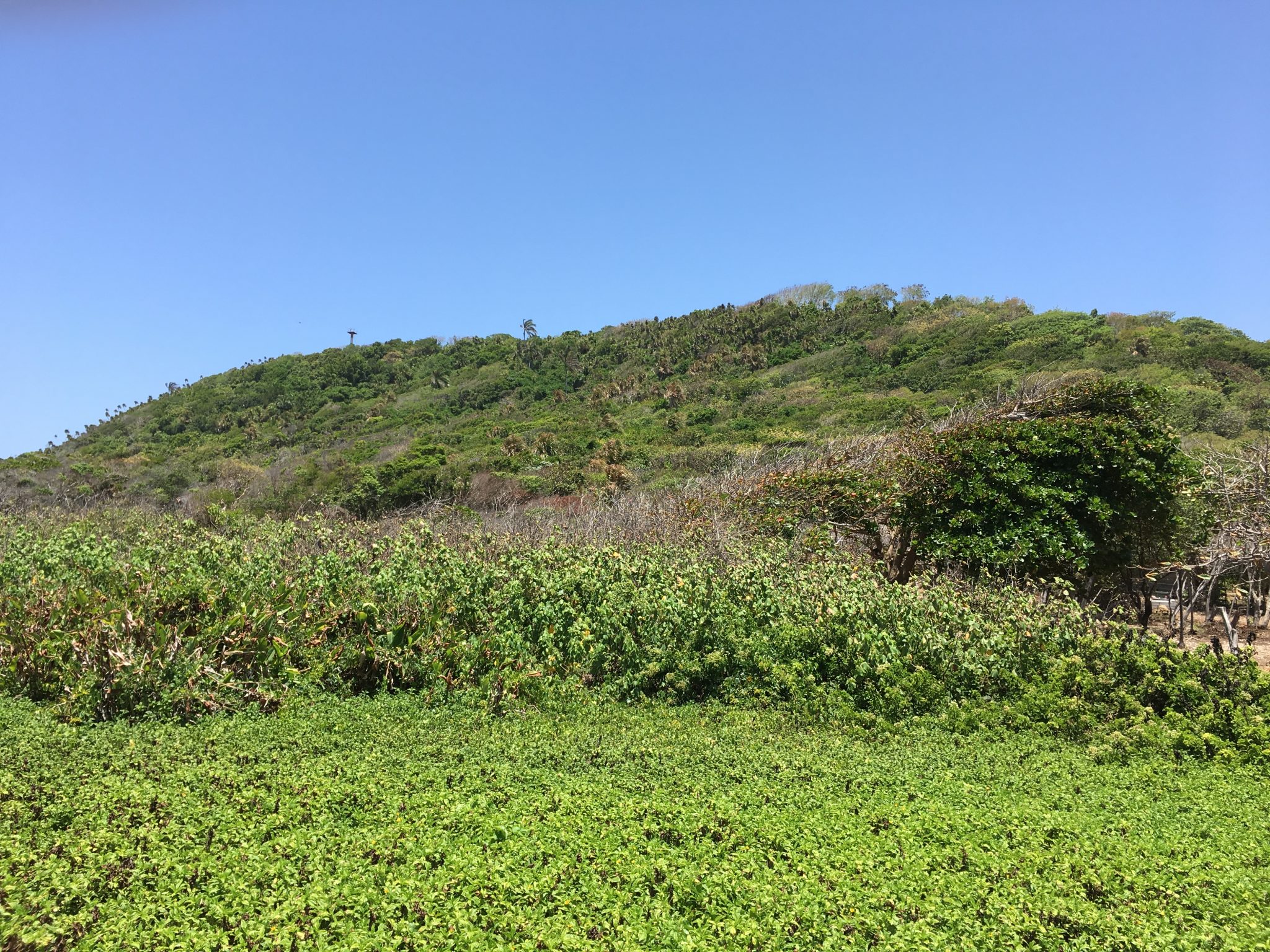 Pumpkin Hill on Utila in Honduras