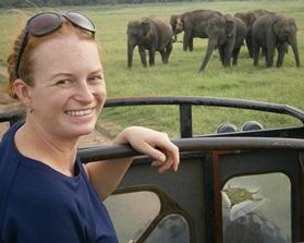 Get to Know Tanya Elephants Minneriya National Park Sri Lanka