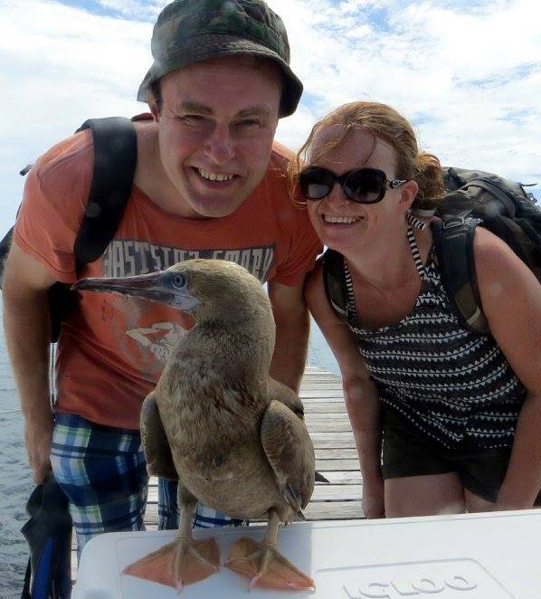 Belize Red Footed Booby