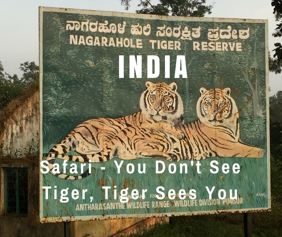 Tiger Safari in Nagarhole National Park, India