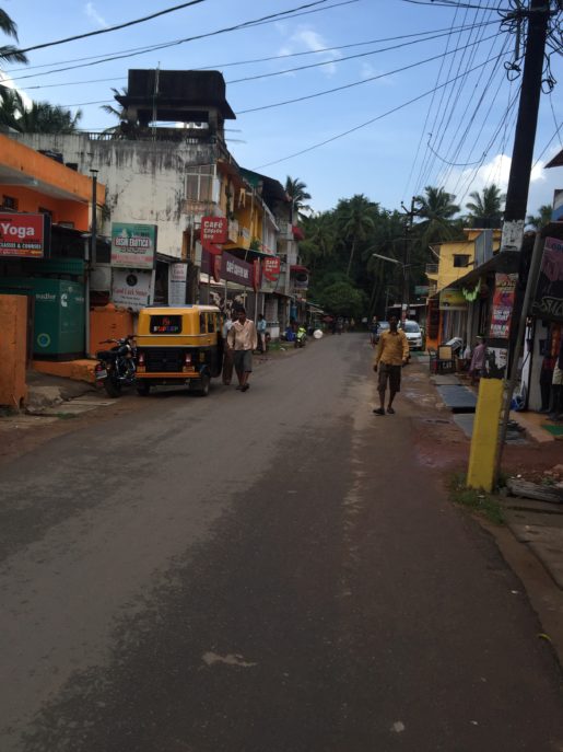 palolem town south goa