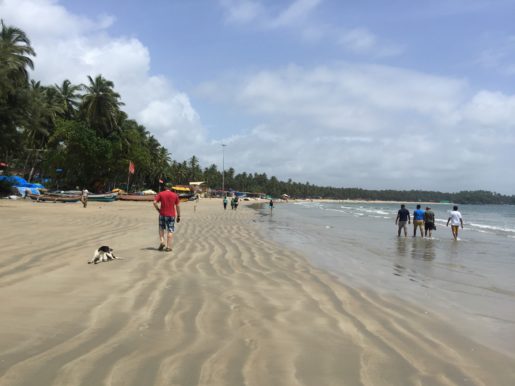 palolem beach south goa in the sun