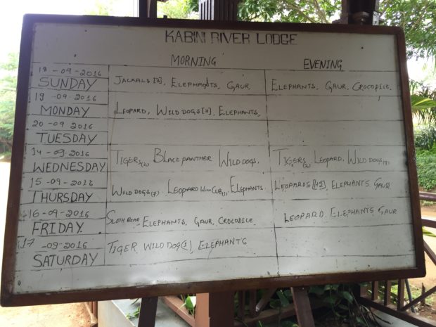 Wildlife sightings at Kabini River Lodge in Nagarhole National Park, India