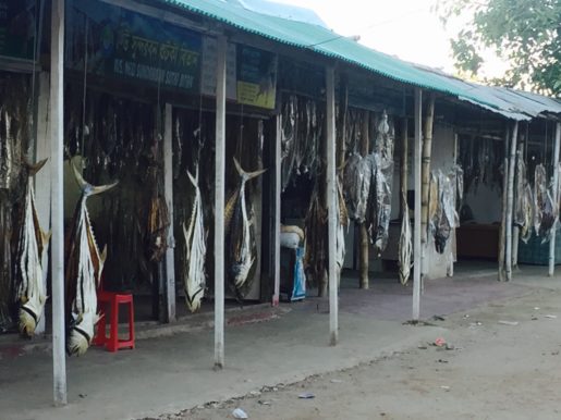 Dried fish for sale Cox's Bazar Bangladesh