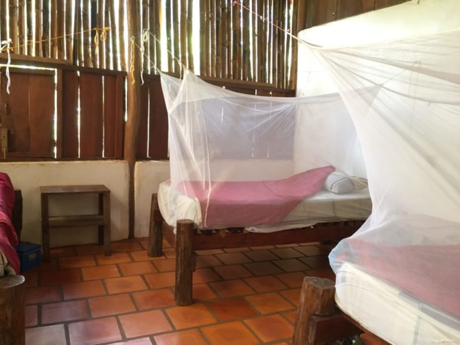 Wooden hut Dorm accommodation at Elephant Valley Project in Mondulkiri, Cambodia