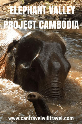 Elephant Valley Project Mondulkiri, Ethical Elephant Sanctuary in Cambodia