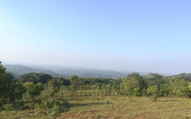 The Sea Forest in Mondulkiri, Cambodia