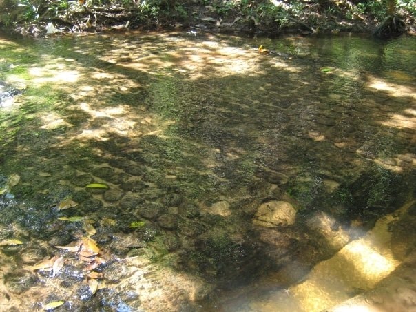 Linga Stone Carvings on Riverbed at Kbal Spean - Angkor Archaeological Parkin Siem Reap, Cambodia