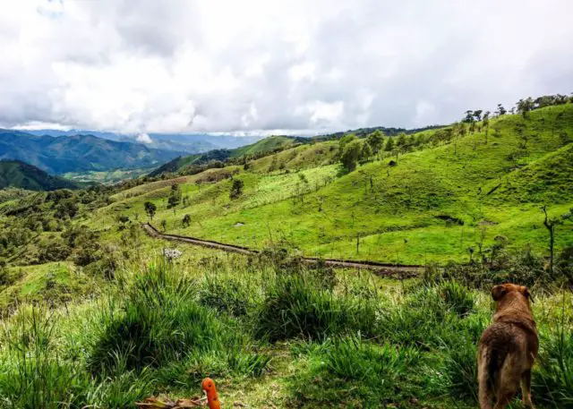 Cloud Forest Adventure in Intag, Ecuador