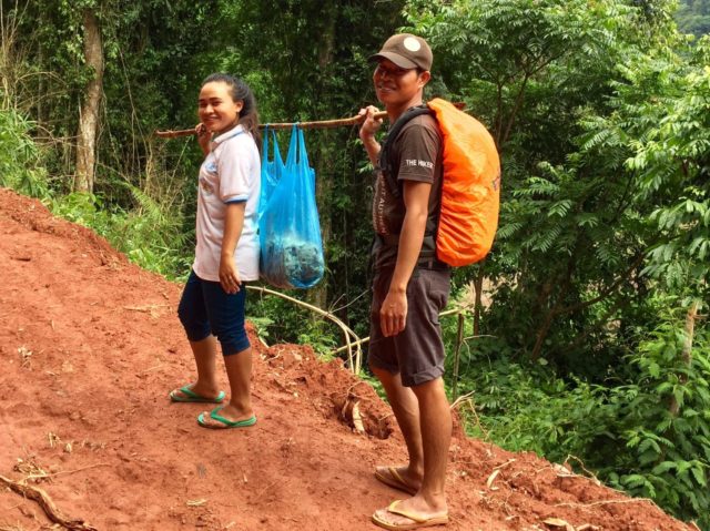 Huge mushroom harvest carried on a stick in Nam Ha National Protect Area, Laos