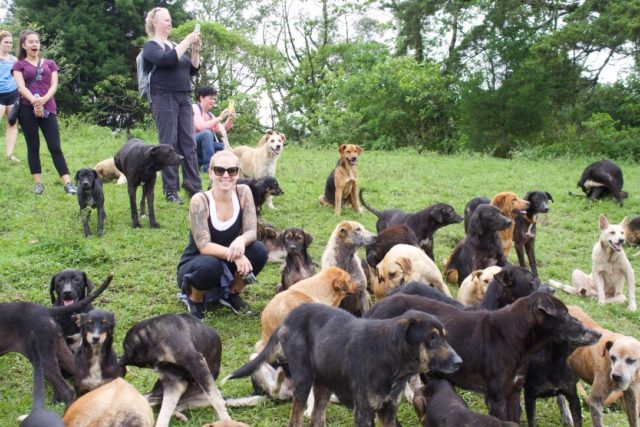 Territorio de Zaguates - Land of the strays Ecotourism