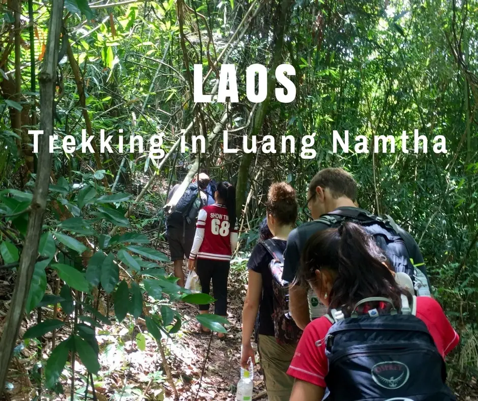 Trekking in Luang Namtha National Protected Area, Laos