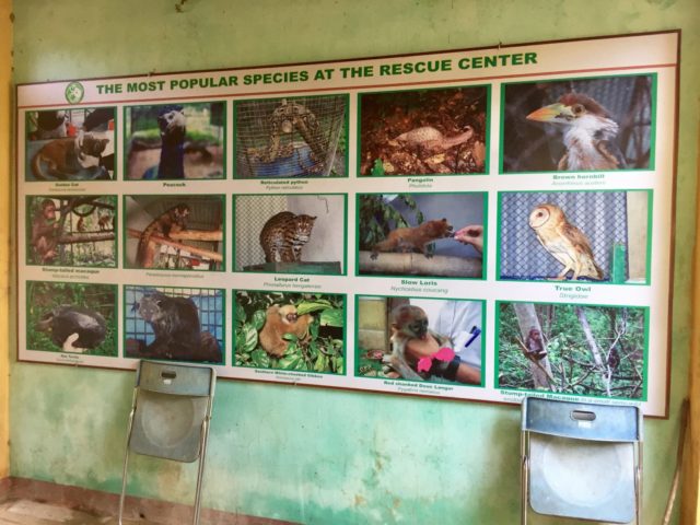 Phong Nha-Ke Bang Wildlife Rescue Centre in Vietnam