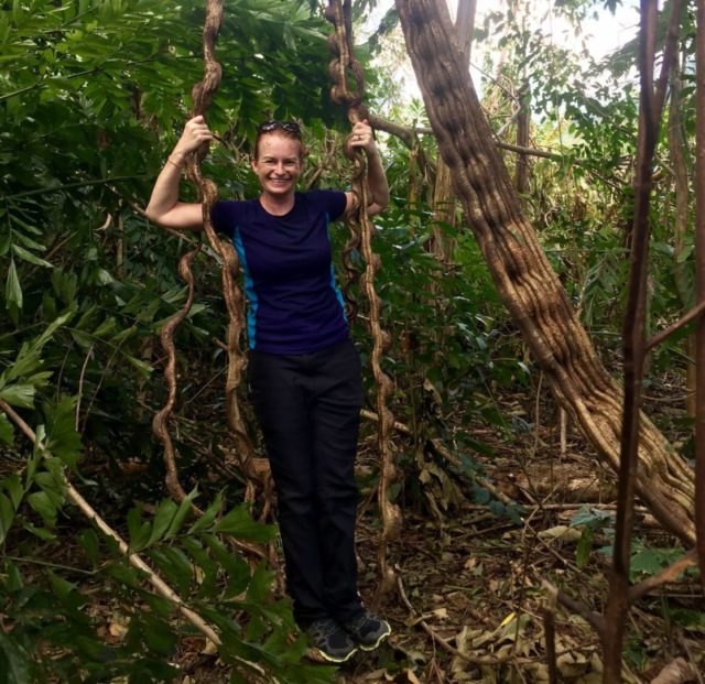 Twisted vine swing in Phong Nha-Ke Bang National Park, Vietnam