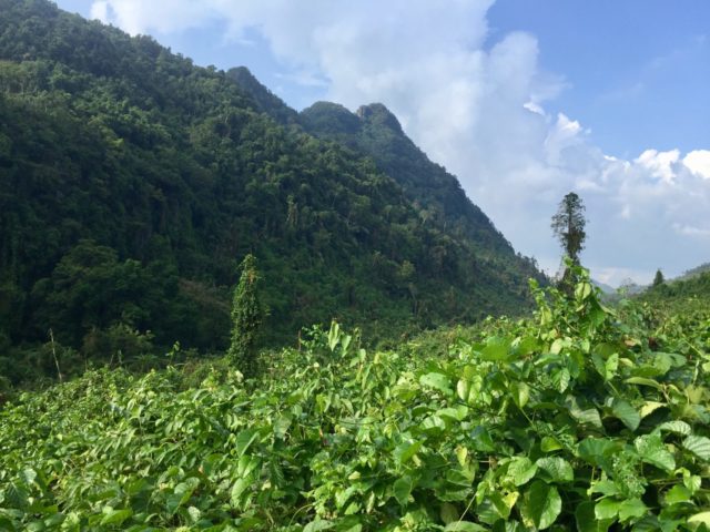 Valley views in Phong Nha-Ke Bang National Park, Vietnam