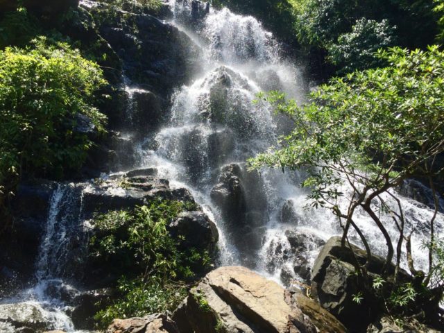 Waterfall in Phong Nha Botanical Garden in Vietnam