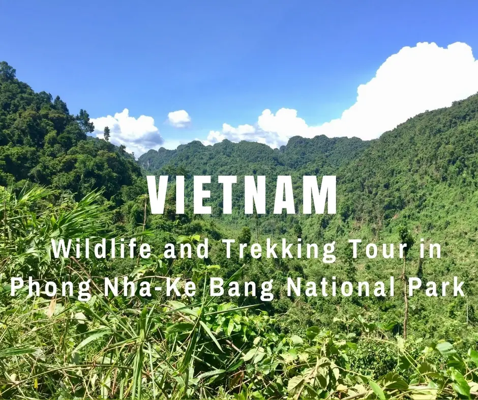 Wildlife trekking tour in Phong Nha-Ke Bang Nationa Park, Vietnam
