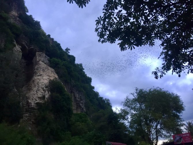 Phnom Sampeau Bat Cave near Battambang, Cambodia