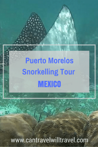 Snorkelling in Puerto Morelos, Mexico Pin