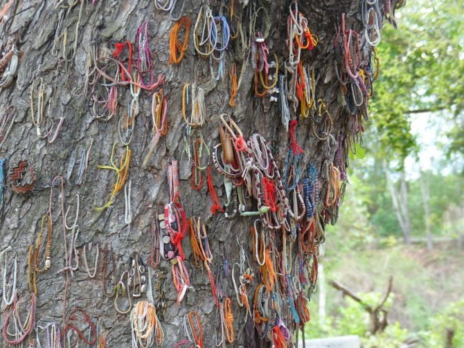 Killing Tree at Choeung Ek Killing Fields in Cambodia