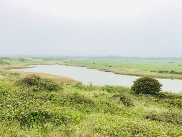 Fresh Water Meadows on the Norfolk Coast Path, England
