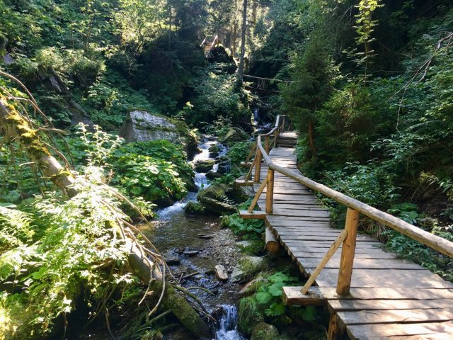 Hiking in Bila Opava Valley, Czech Republic