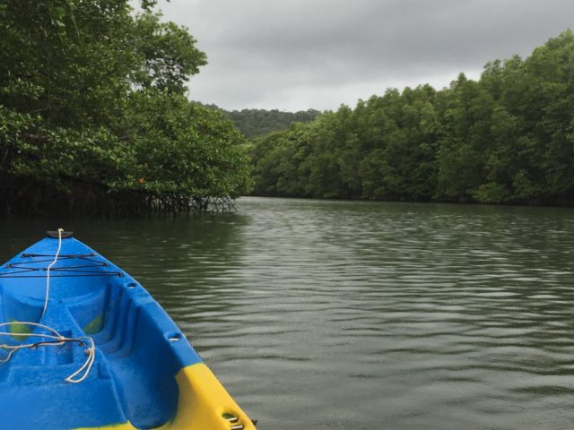 Kayaking on Koh Kood Island in Thailand