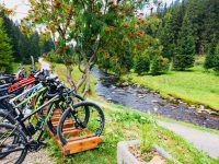 Electro Bikes in Sumava National Park, Czech Republic