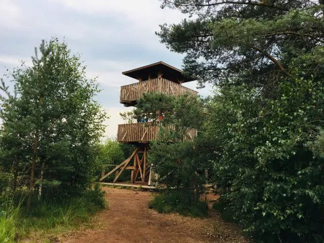 Viewing Tower at Soumarske Raseliniste Peat Bog