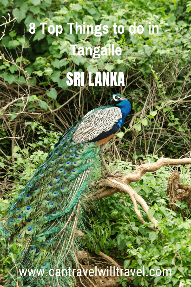 8 Top Things To Do in Sri Lanka Pin 2