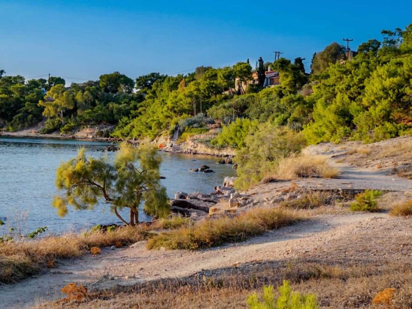 Green tree lined bay on Aegina in the Argo-Saronic Islands in Greece