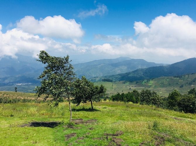 Agricultural Land on Acatenango Hike