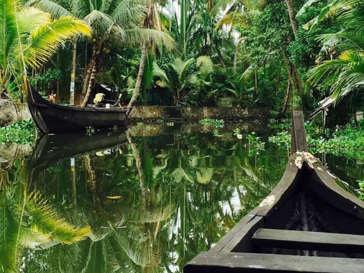 Wooden canoes in the river surrounded by green jungle in Kerala backwaters