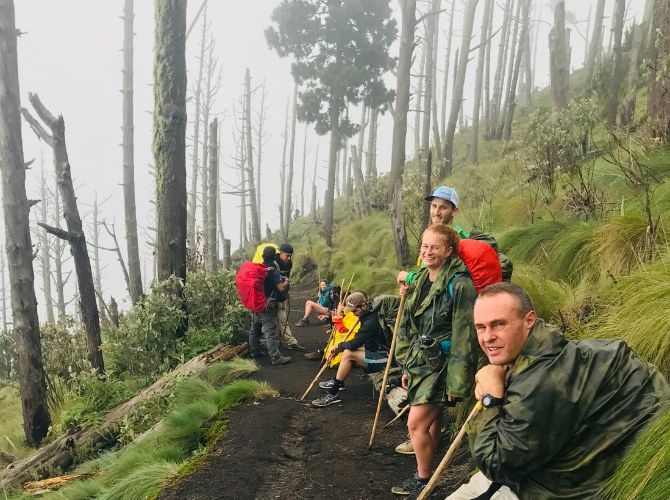 Alpine Forest Acatenango