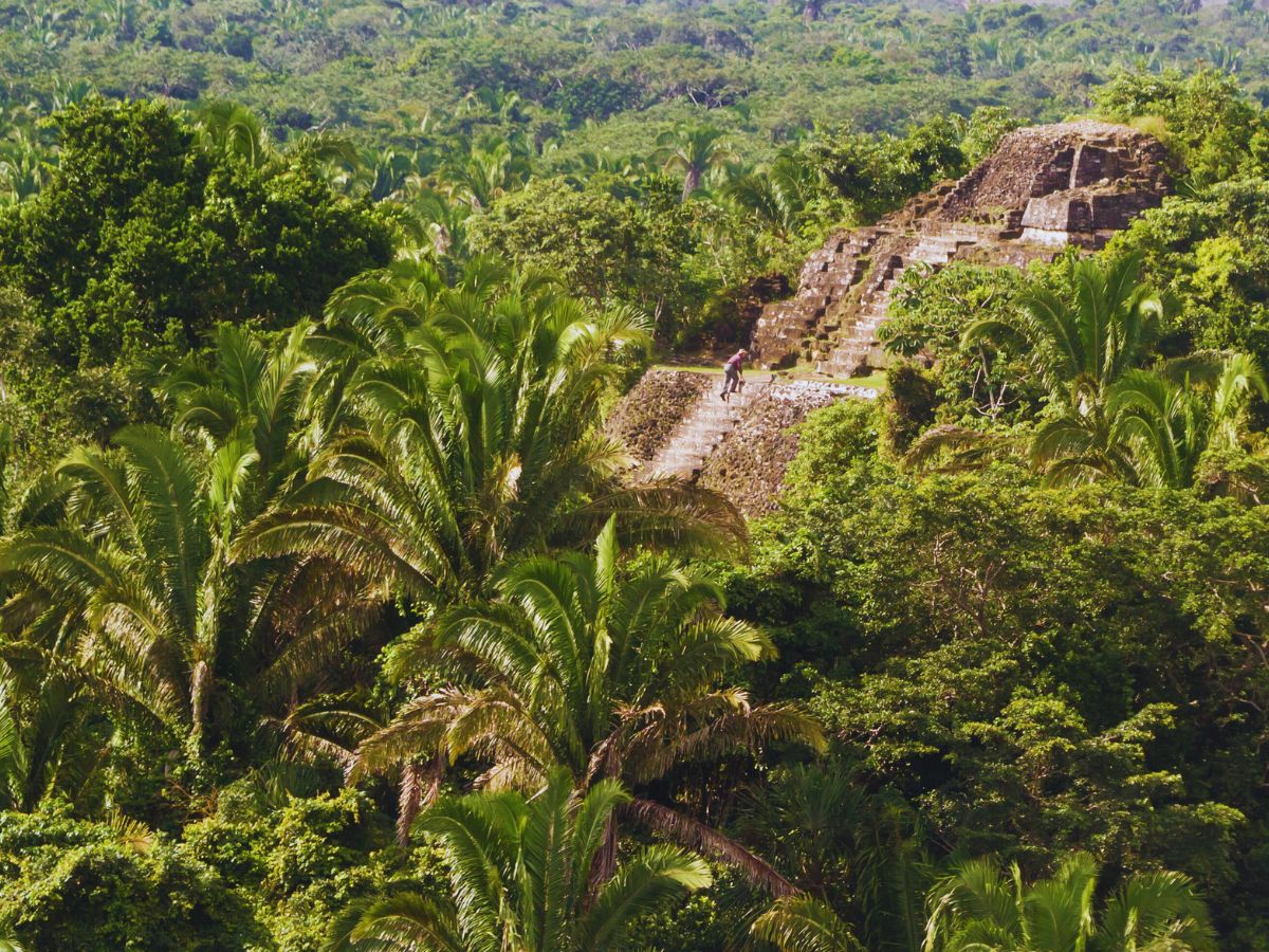 Ancient City of Lamanai. Belize Jungle Adventures