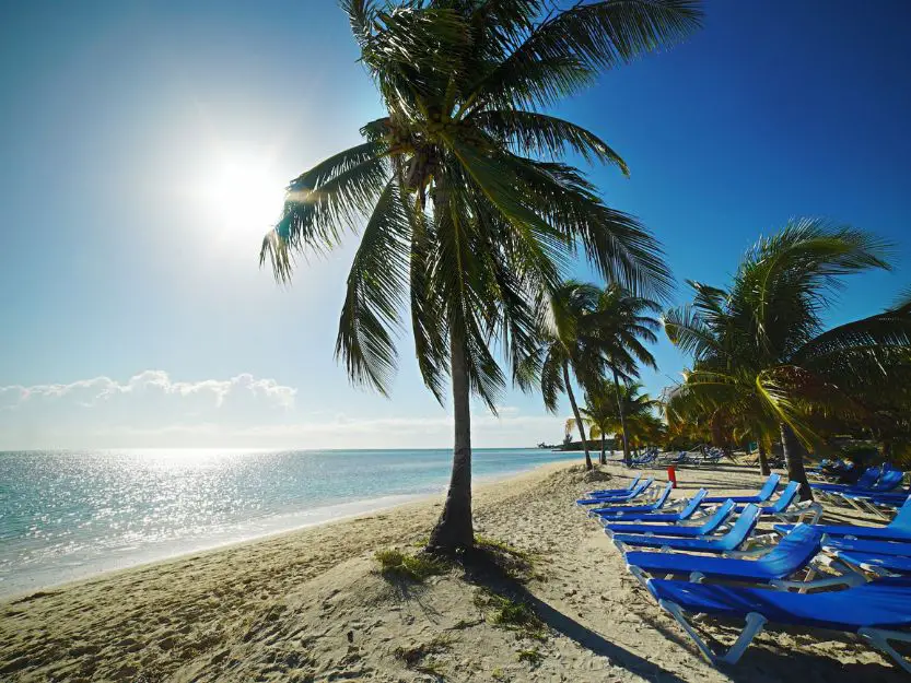 Bahamas Cruise - image of palm trees on a beach