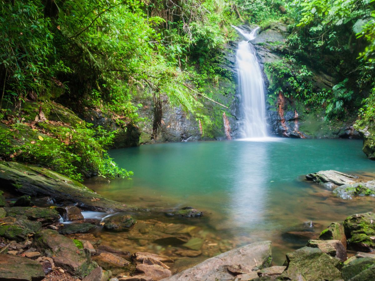 Belize Jungle Adventures waterfall flowing into swimming spot surrounded by Jungle