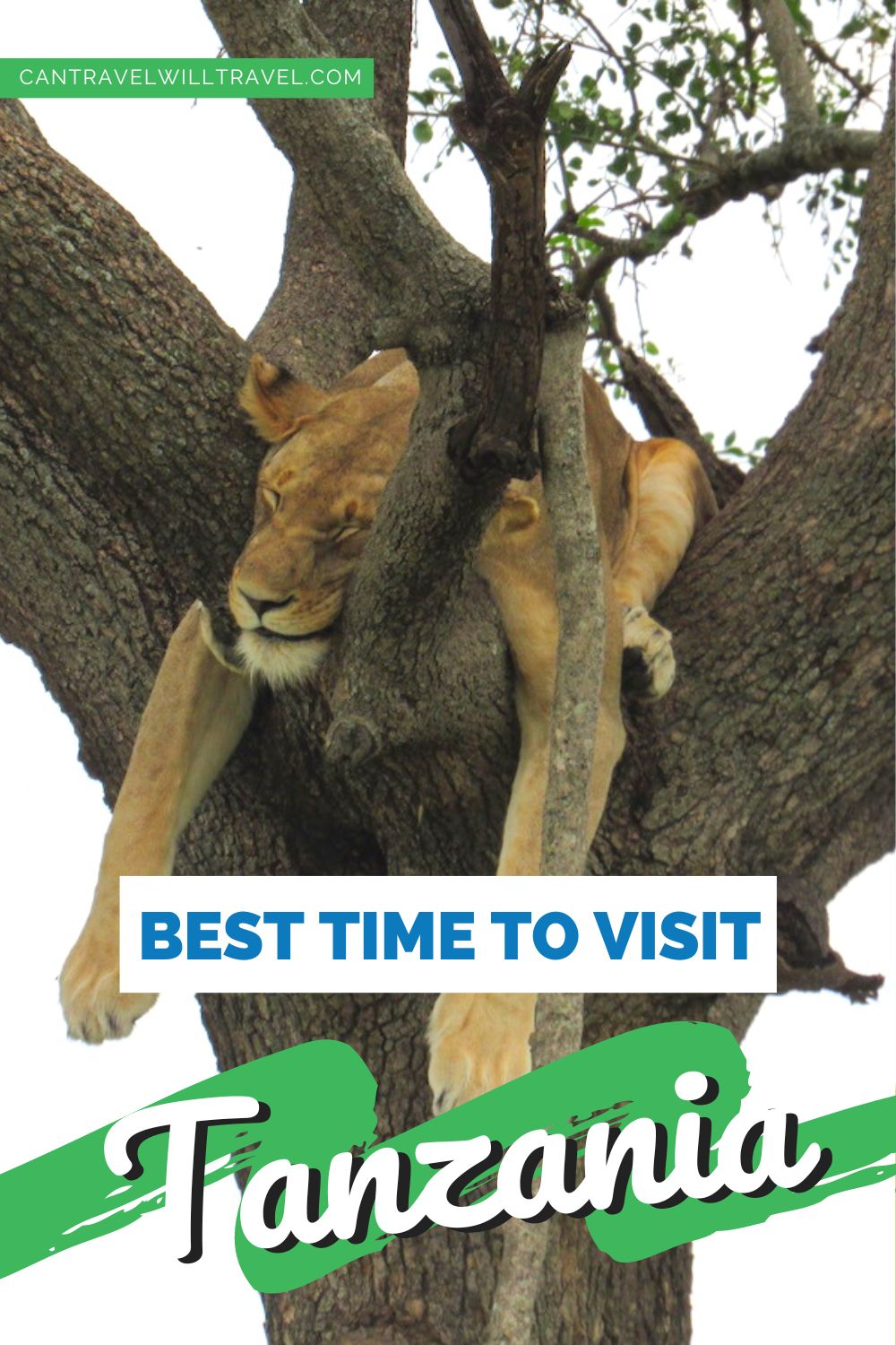 Best Time to Visit Tanzania, Africa