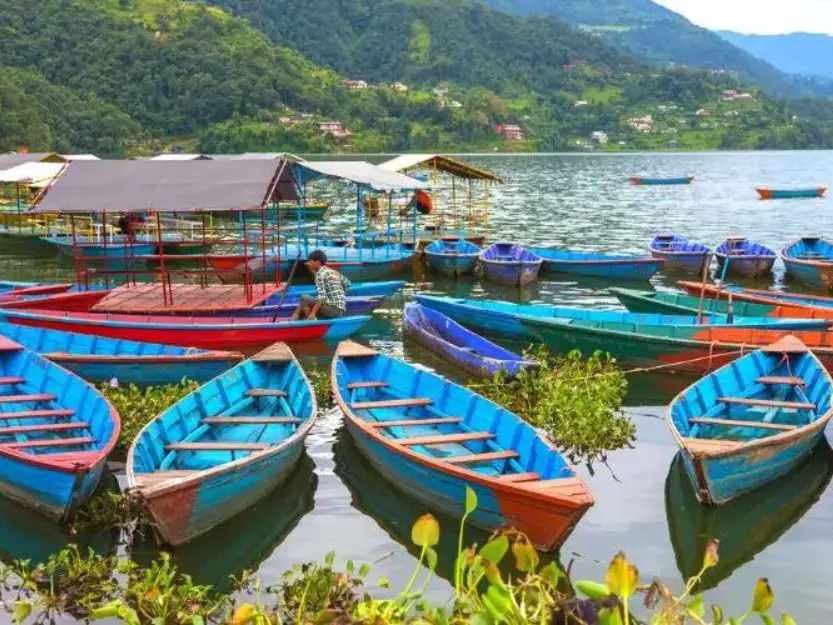 Colourful wooden boats at the edge of of Pokhara lake with mountains in the background.