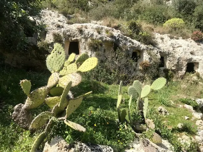 Bronze Age Limestone Tombs in Pantalica Nature Reserve with cacti in front.