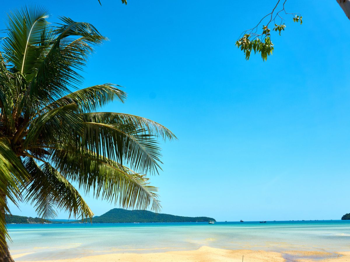 Guide to Cambodia's beaches and islands. Green palm tree on the left of a pristine white sand beach with azure clear water to the right.