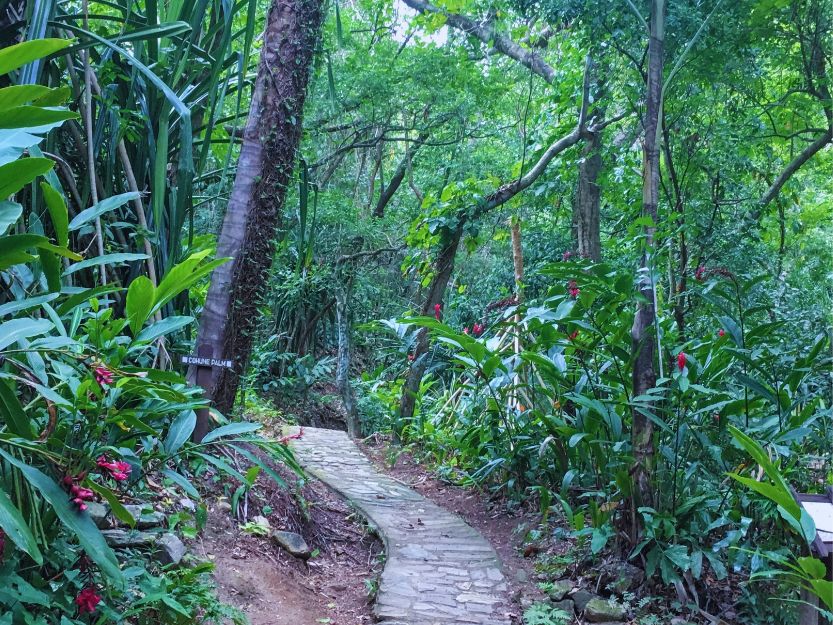 Nature trail in Carambola Botanical Gardens on Roatan in Honduras