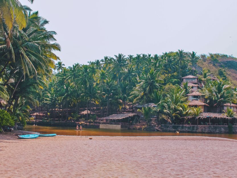 Cola Beach in South Goa. Palm trees and kayaks.