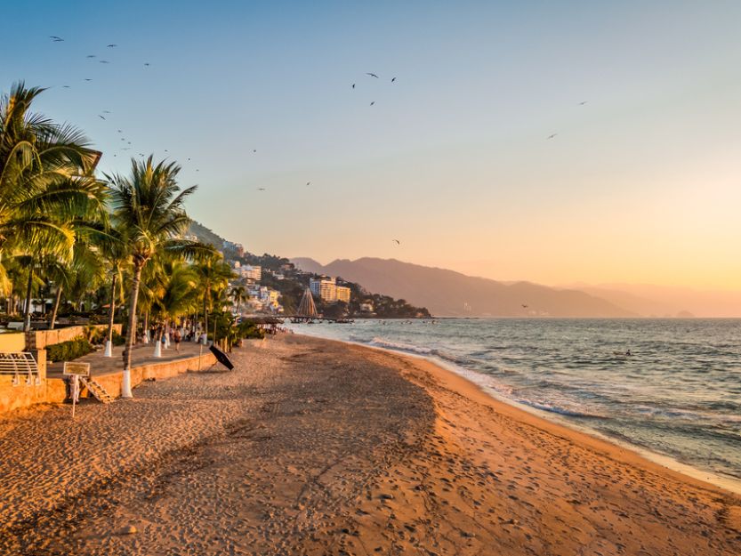 Ferry to Puerto Vallarta - image of beach with palm trees on left, sea on the right and mountains in the background