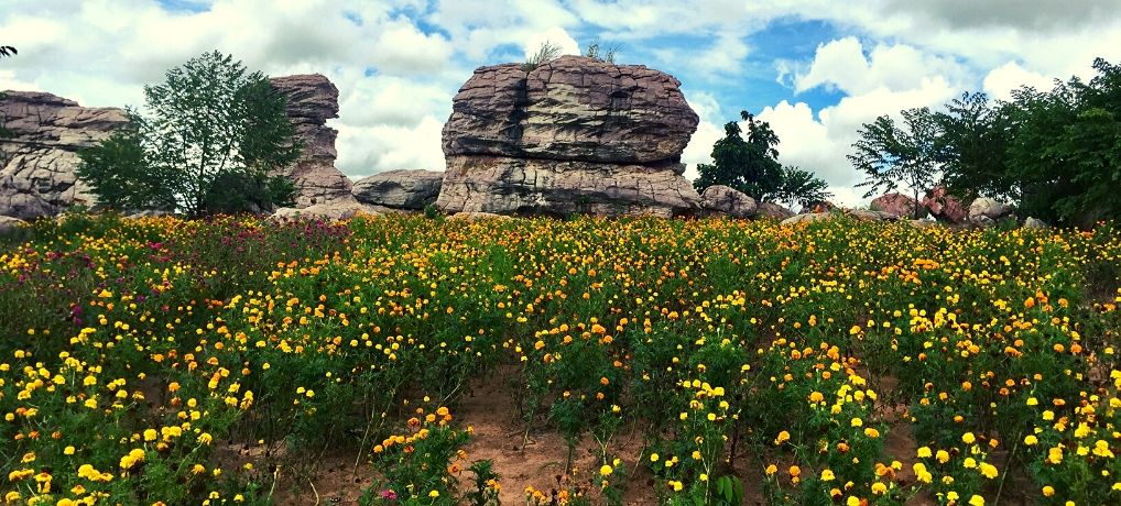 Getting Off the Beaten Track at Peung Tanon Standing Stones Cambodia