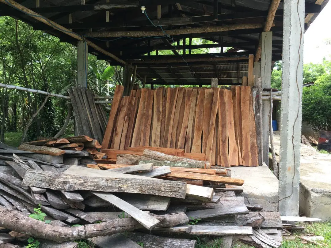 Hardwood Cutoffs at Finca Corinto in Honduras