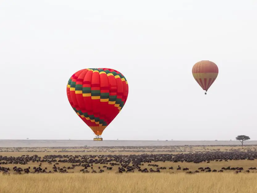 Hot air balloon safari over great migration in Kenya