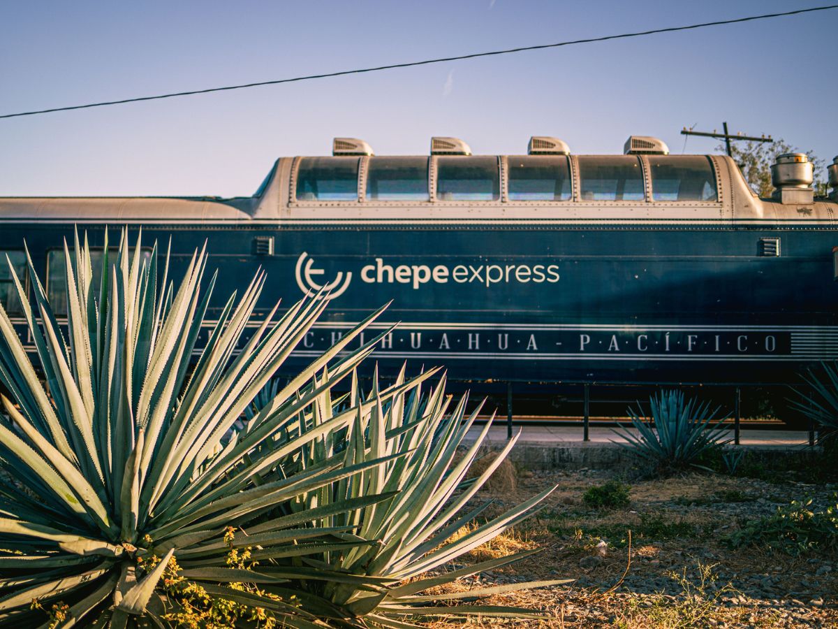 How to Book El Chepe Train Tickets for Copper Canyon in Mexico - image of dark green Chepe Express