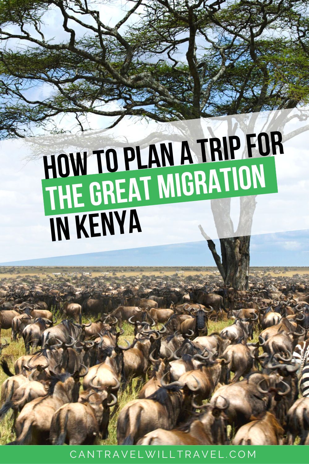 How To Plan a Trip for The Great Migration in Kenya