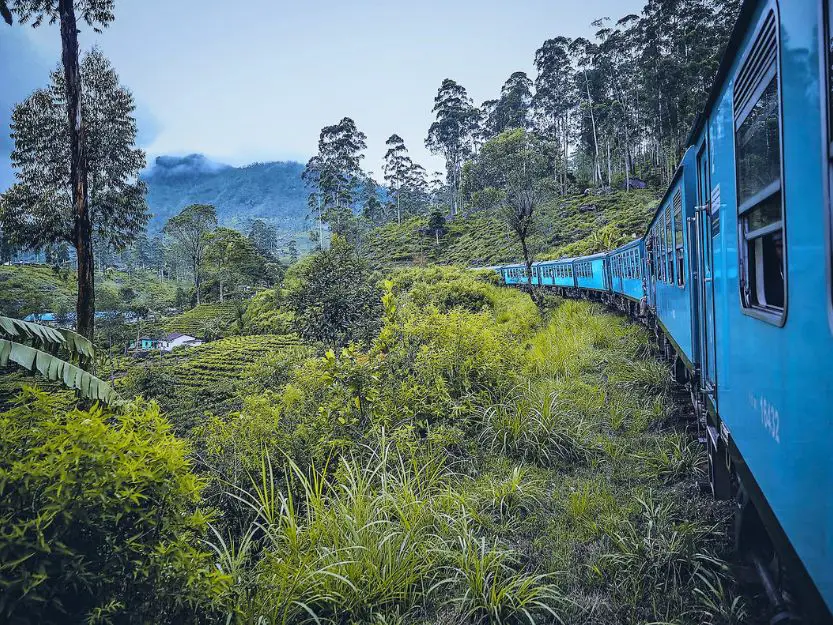 Blue Kandy to Ella Train Guide with